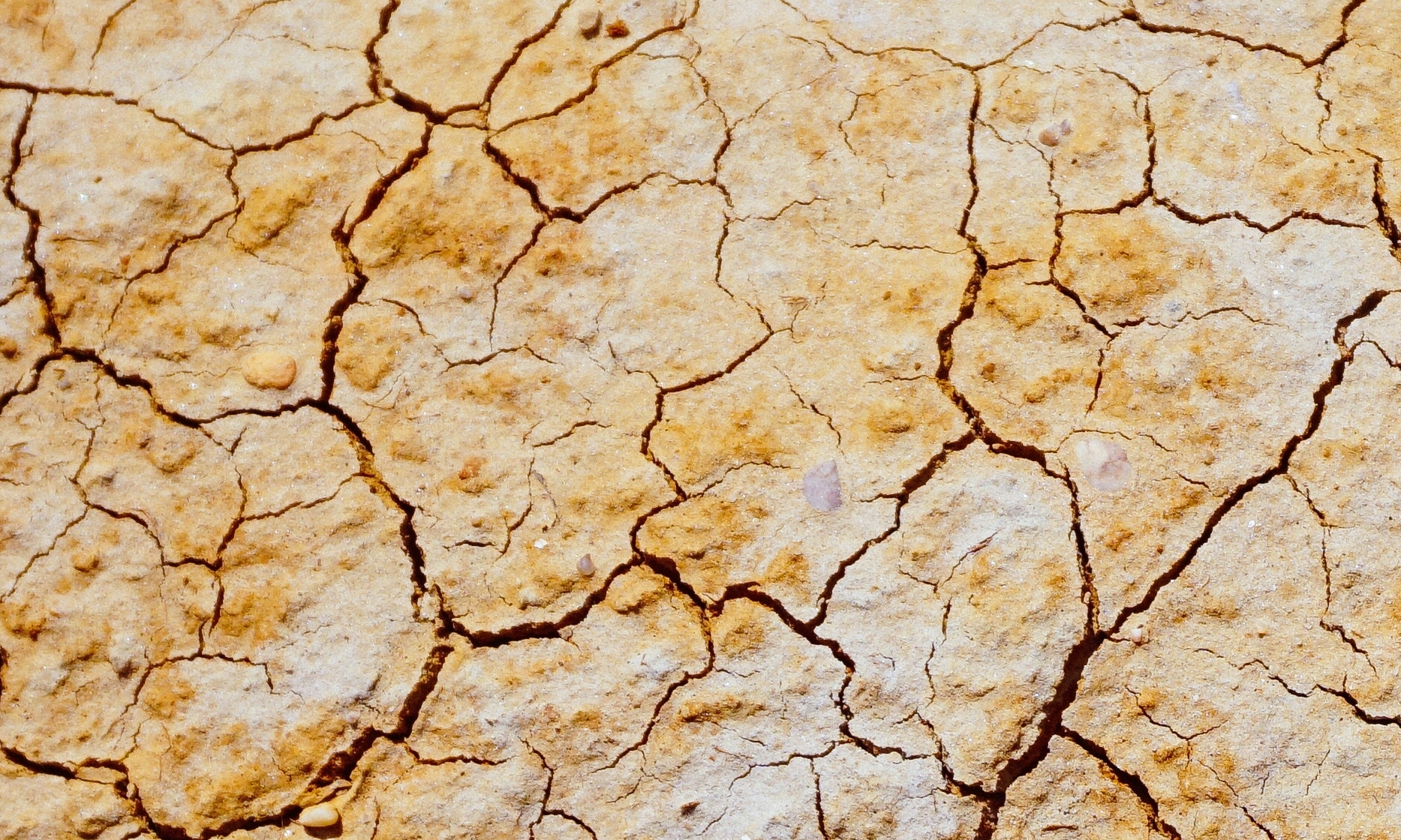 12 czerwca biuro czynne do 13:30