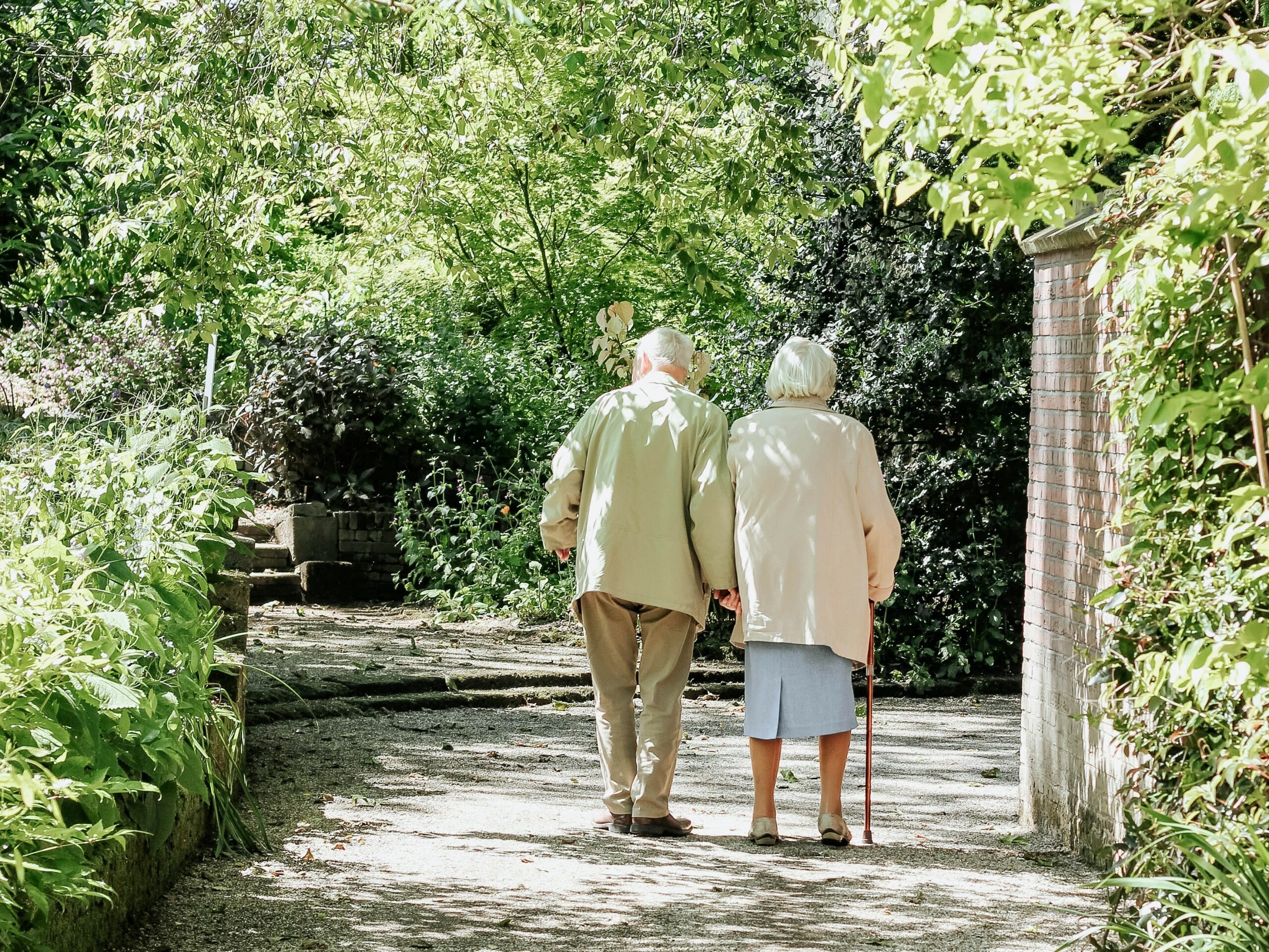 Solidarnościowy Korpus Wsparcia Seniorów – spotkanie branżowe dla ośrodków pomocy społecznej