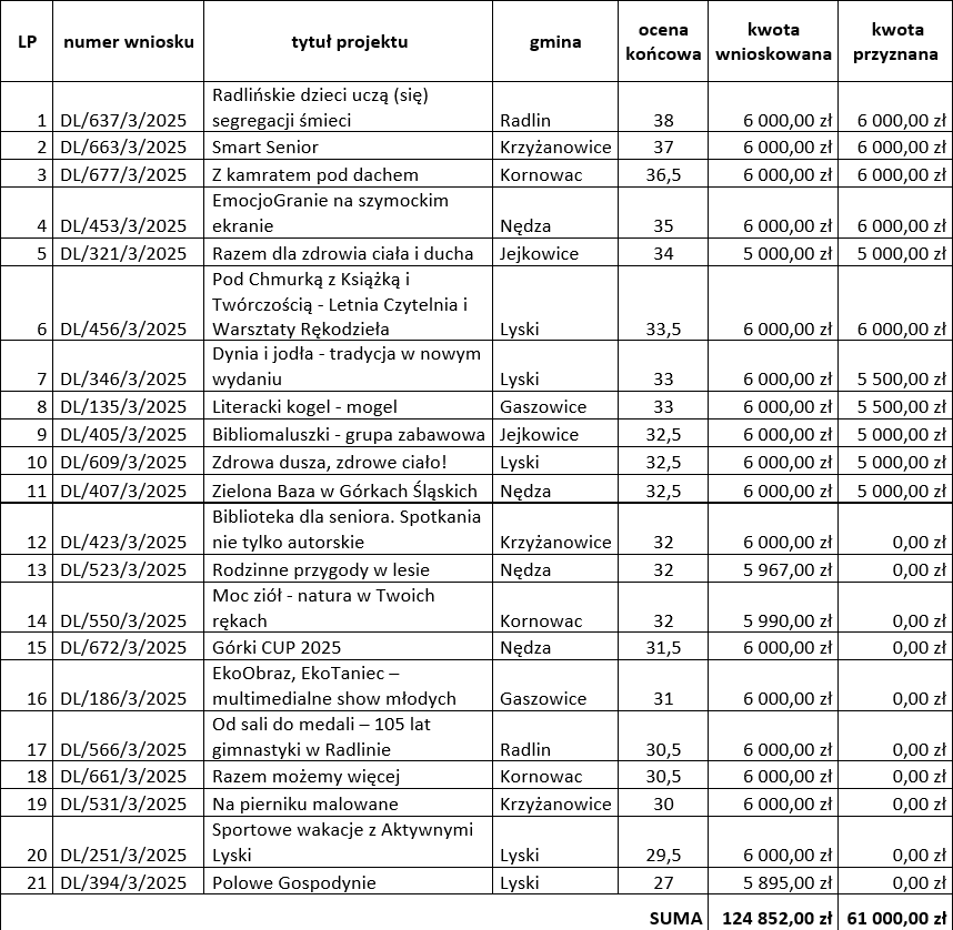 tabela z wynikami Działaj Lokalnie